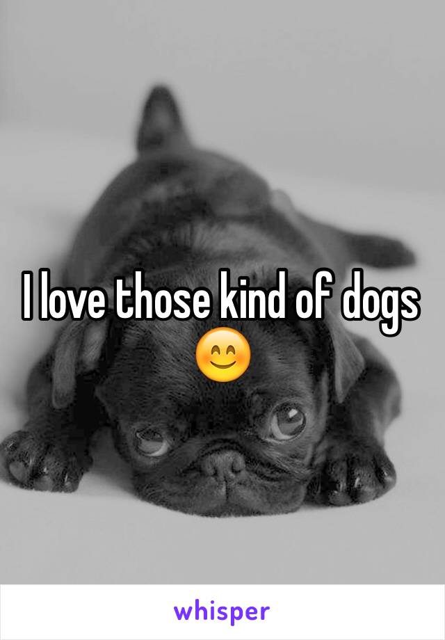 I love those kind of dogs 😊