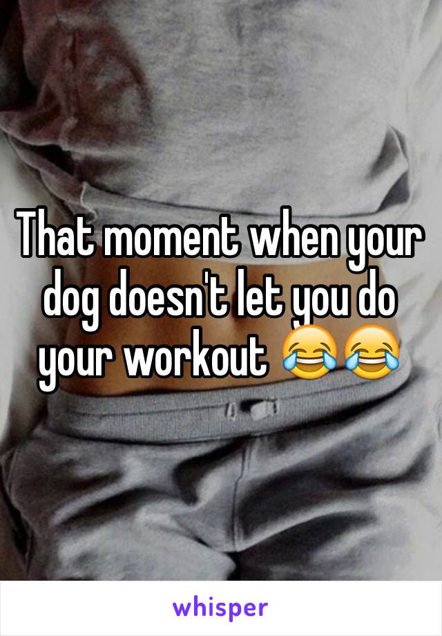 That moment when your dog doesn't let you do your workout 😂😂