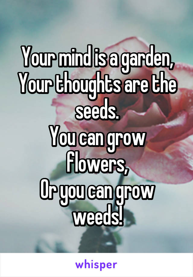 Your mind is a garden,
Your thoughts are the seeds.
You can grow flowers,
Or you can grow weeds!