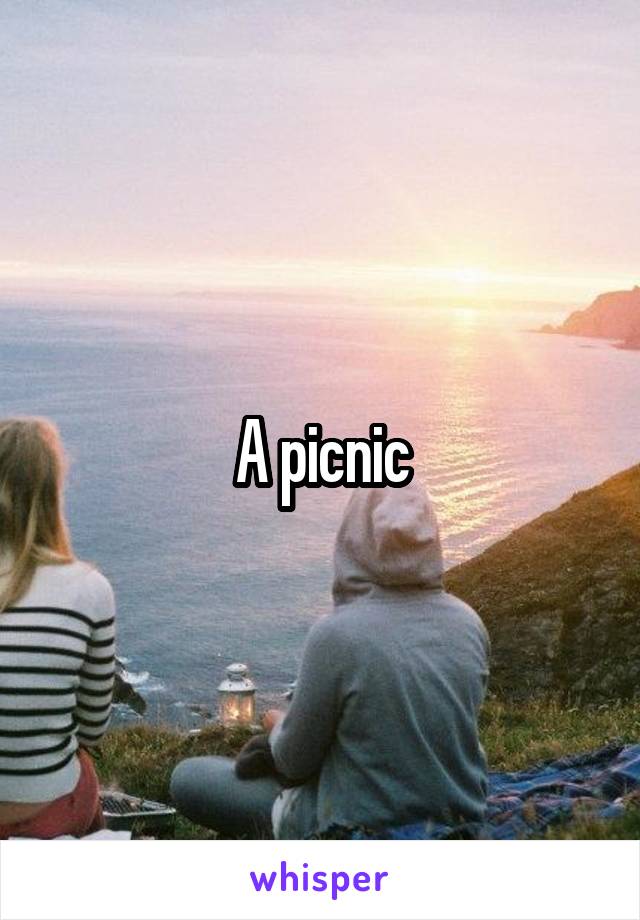 A picnic