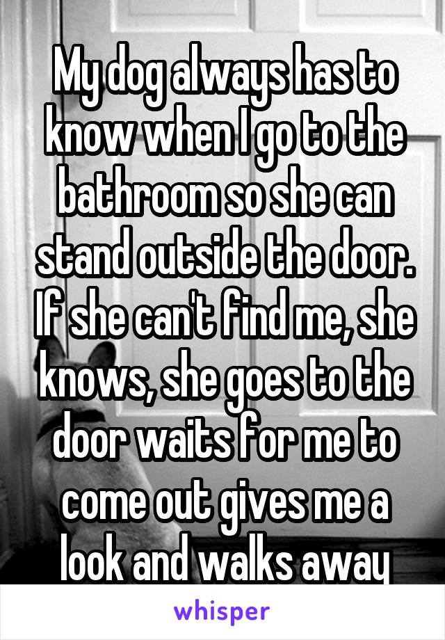 My dog always has to know when I go to the bathroom so she can stand outside the door. If she can't find me, she knows, she goes to the door waits for me to come out gives me a look and walks away