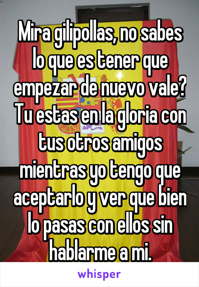 Mira gilipollas, no sabes lo que es tener que empezar de nuevo vale? Tu estas en la gloria con tus otros amigos mientras yo tengo que aceptarlo y ver que bien lo pasas con ellos sin hablarme a mi.