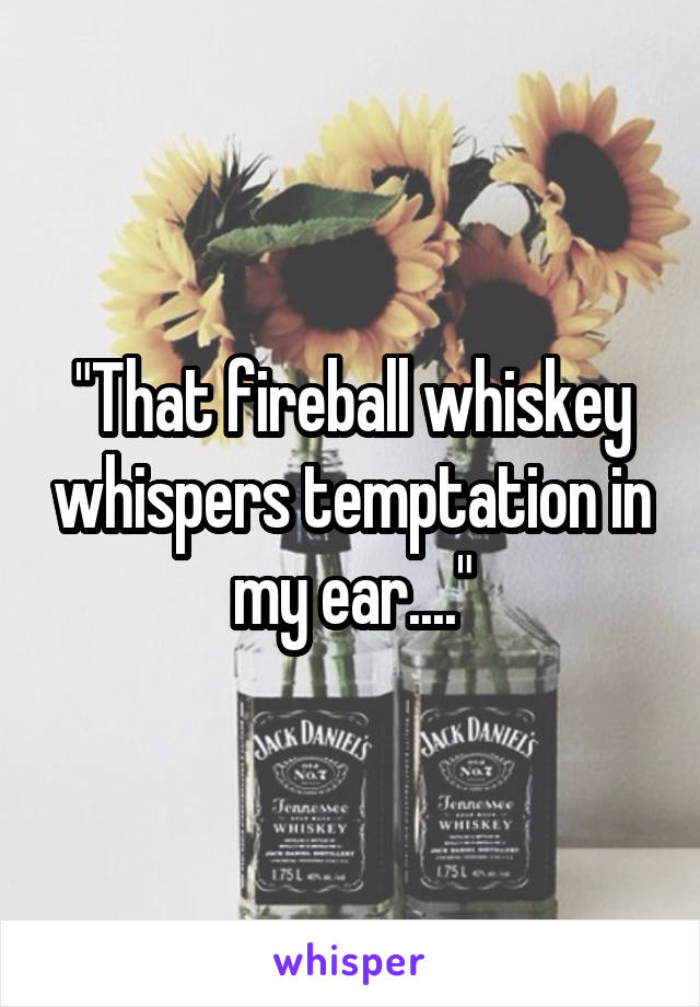 "That fireball whiskey whispers temptation in my ear...."