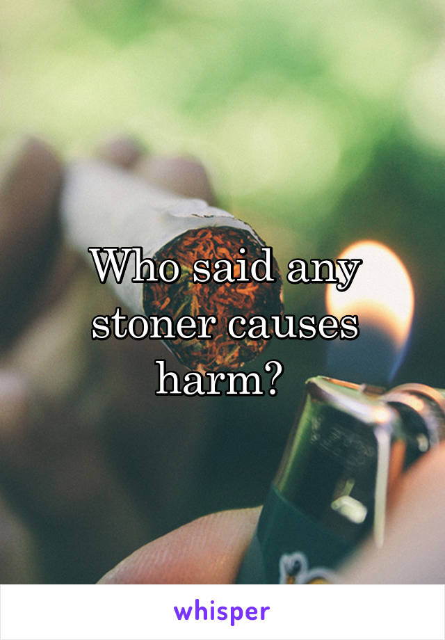 Who said any stoner causes harm? 