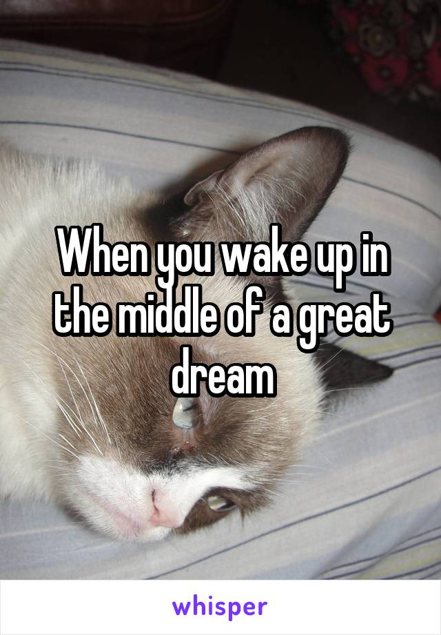 When you wake up in the middle of a great dream