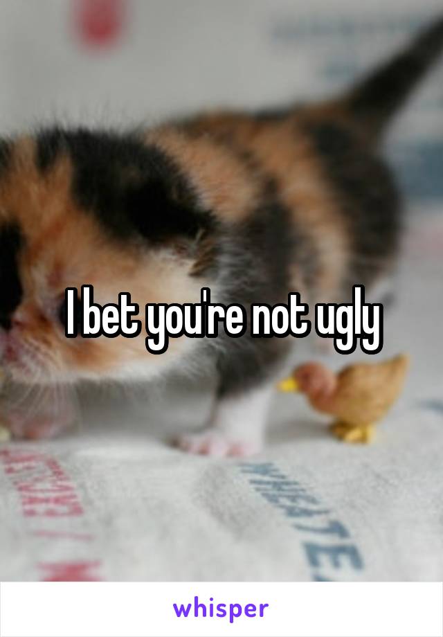 I bet you're not ugly