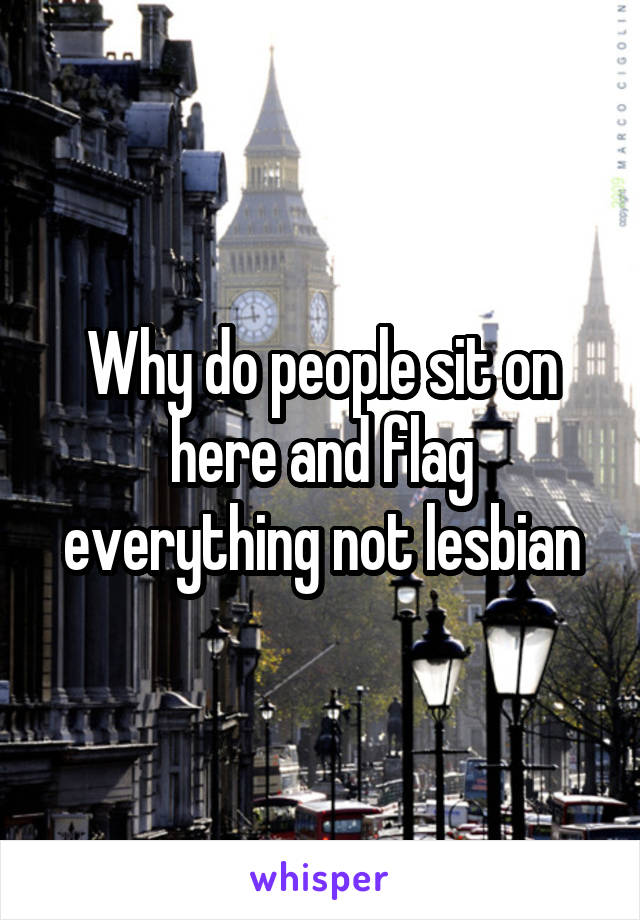 Why do people sit on here and flag everything not lesbian