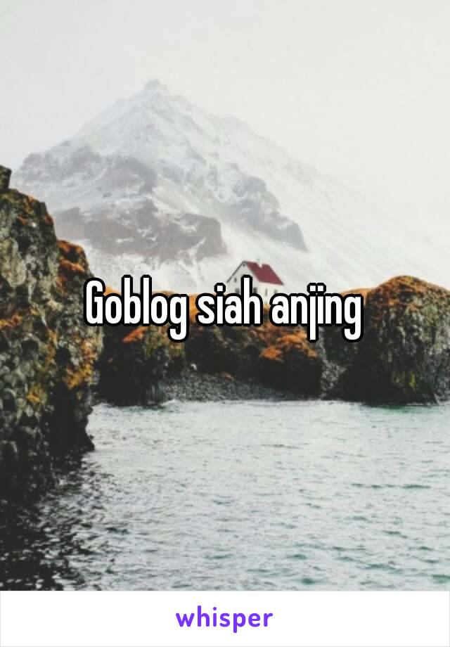 Goblog siah anjing