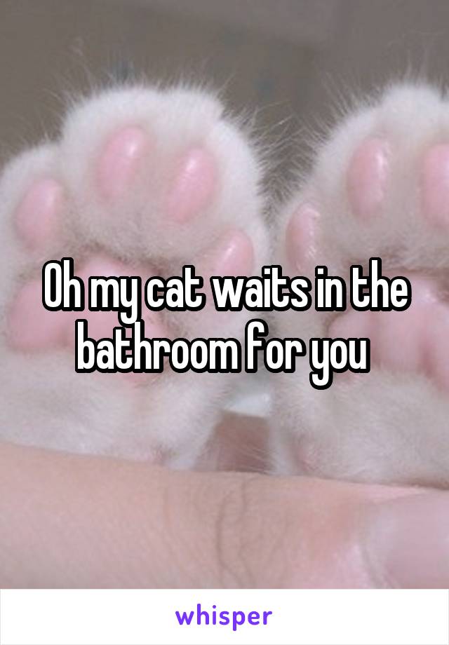 Oh my cat waits in the bathroom for you 