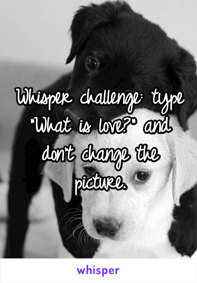 Whisper challenge: type "What is love?" and don't change the picture.