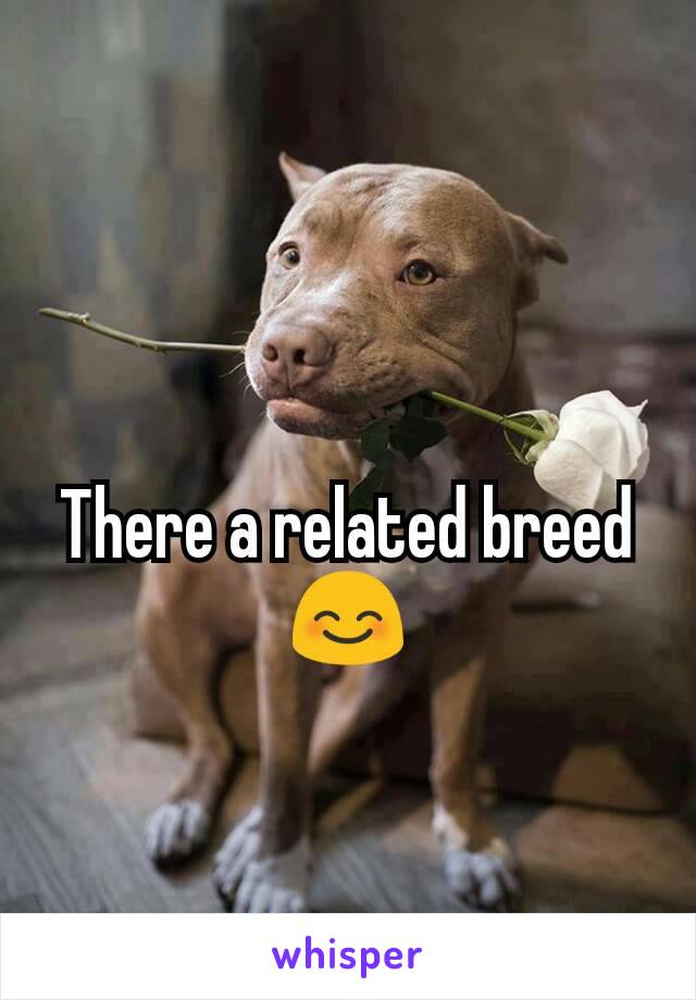 There a related breed 😊