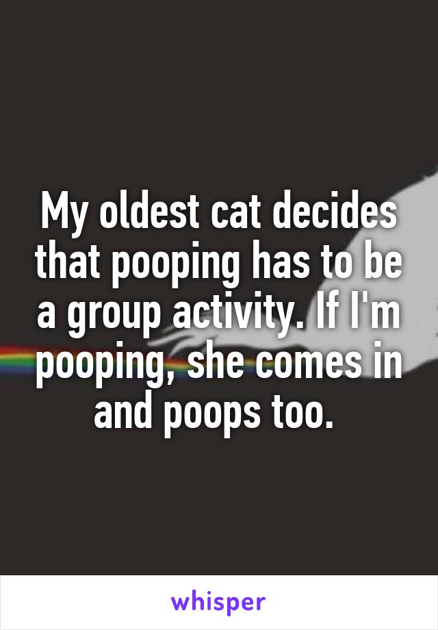 My oldest cat decides that pooping has to be a group activity. If I'm pooping, she comes in and poops too. 