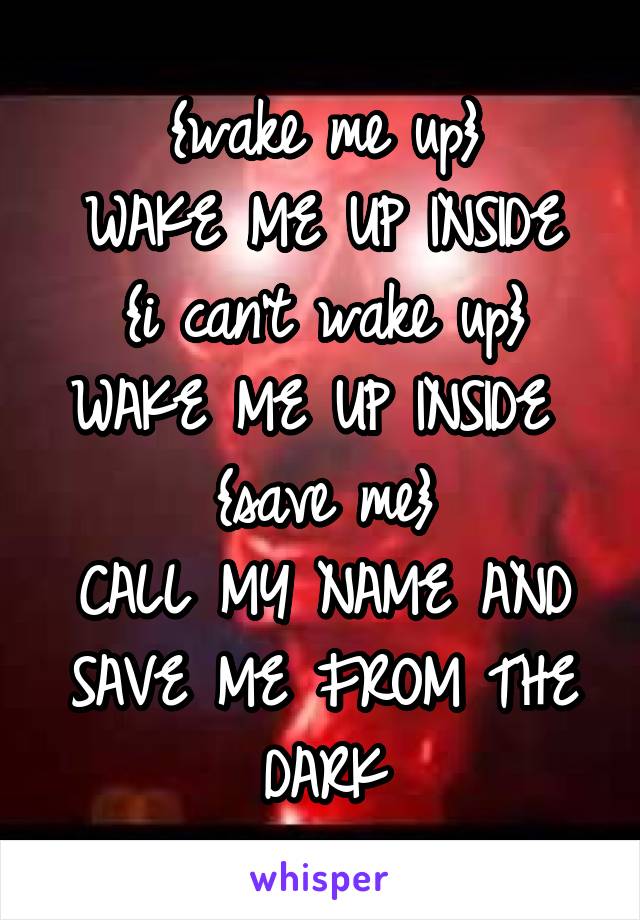 {wake me up}
WAKE ME UP INSIDE
{i can't wake up}
WAKE ME UP INSIDE 
{save me}
CALL MY NAME AND SAVE ME FROM THE DARK