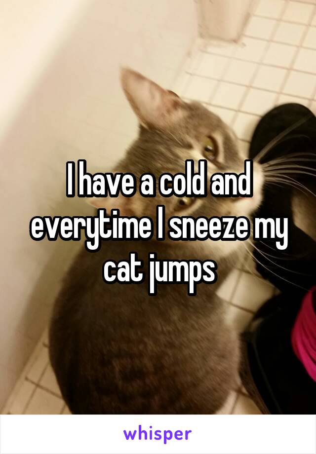 I have a cold and everytime I sneeze my cat jumps