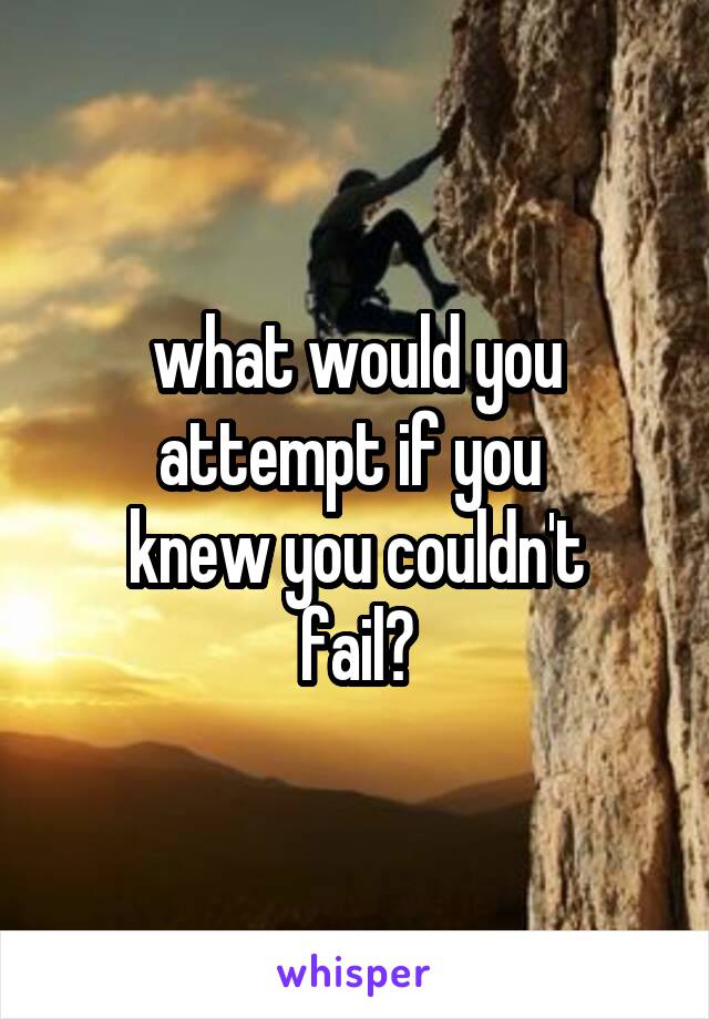 what would you attempt if you 
knew you couldn't
 fail? 