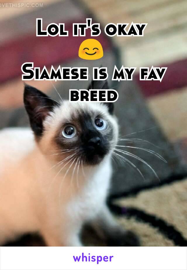 Lol it's okay 
😊 
Siamese is my fav breed