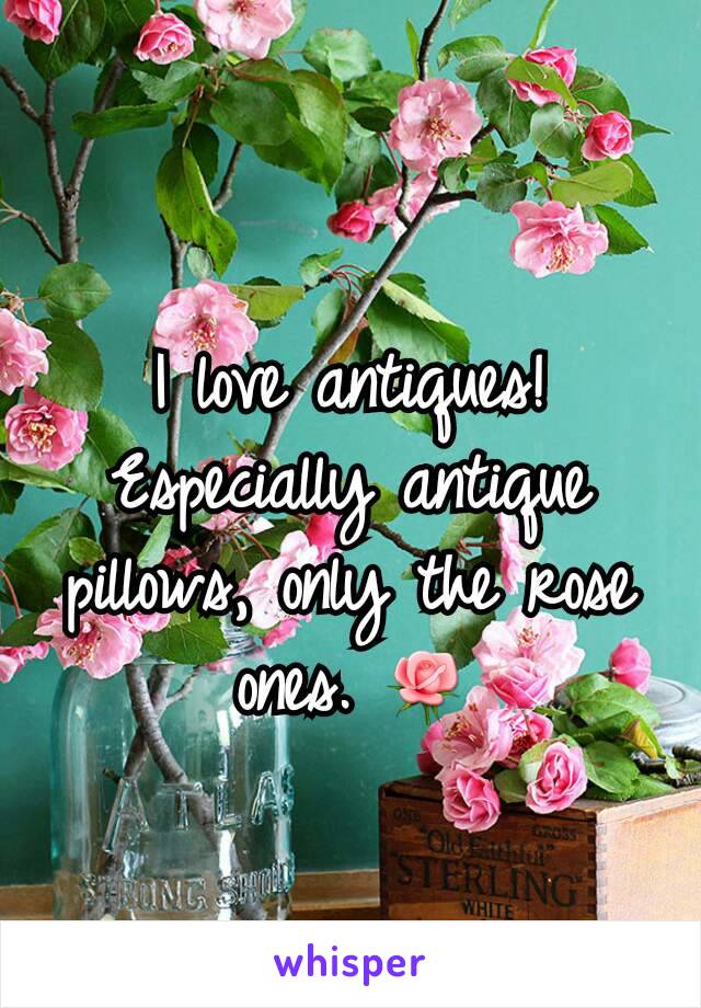 I love antiques! Especially antique pillows, only the rose ones. 🌹