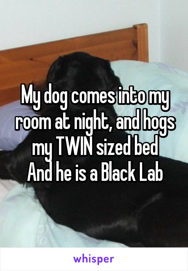 My dog comes into my room at night, and hogs my TWIN sized bed
And he is a Black Lab