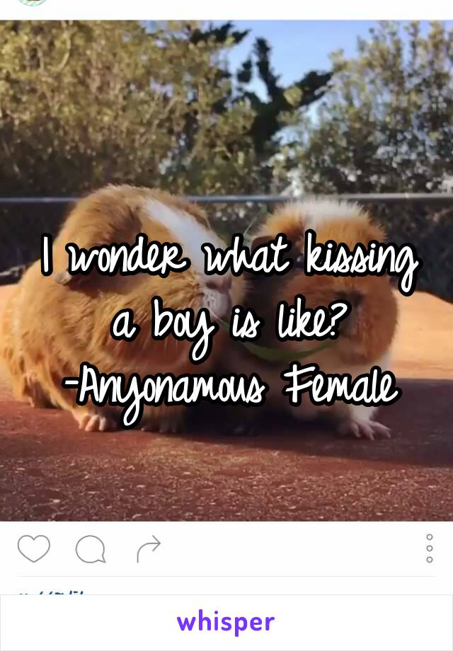 I wonder what kissing a boy is like?
-Anyonamous Female