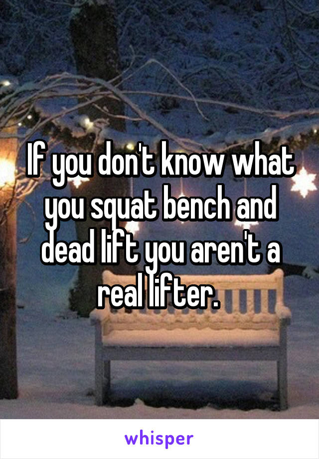 If you don't know what you squat bench and dead lift you aren't a real lifter. 