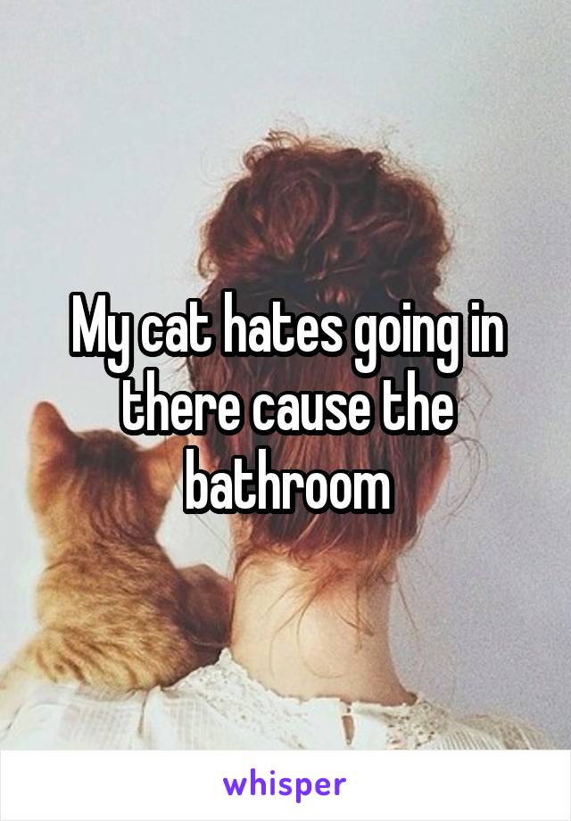 My cat hates going in there cause the bathroom