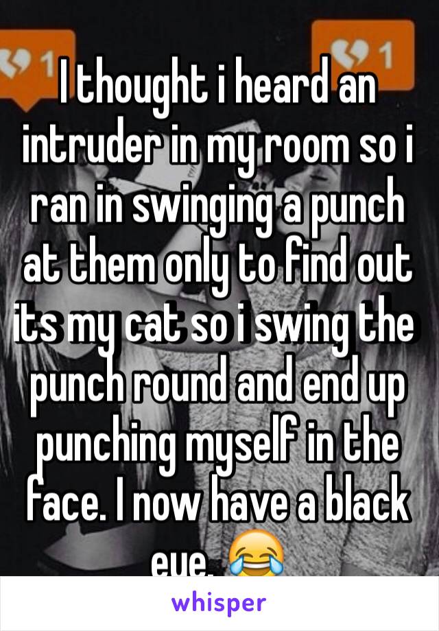 I thought i heard an intruder in my room so i ran in swinging a punch at them only to find out its my cat so i swing the punch round and end up punching myself in the face. I now have a black eye. 😂