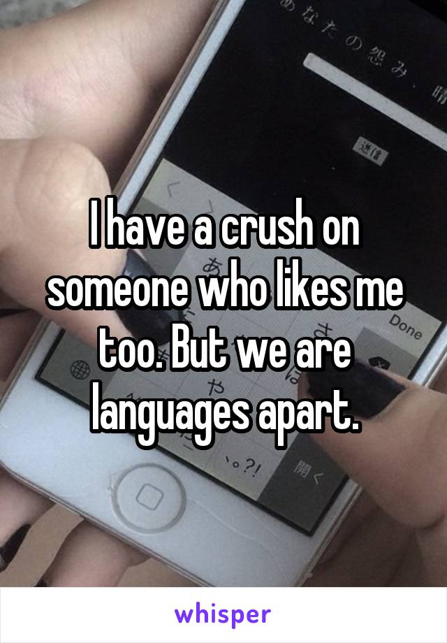 I have a crush on someone who likes me too. But we are languages apart.