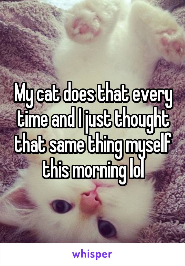 My cat does that every time and I just thought that same thing myself this morning lol