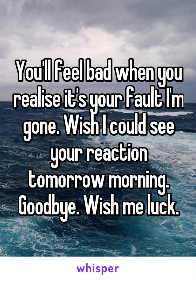 You'll feel bad when you realise it's your fault I'm gone. Wish I could see your reaction tomorrow morning. Goodbye. Wish me luck.