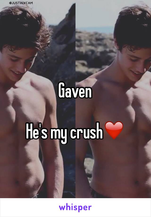 Gaven

He's my crush❤️