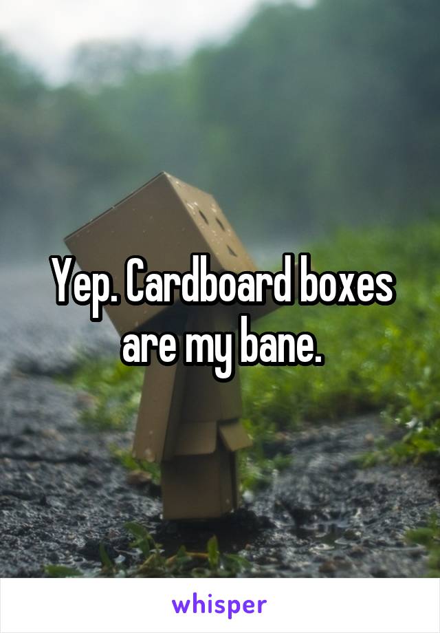 Yep. Cardboard boxes are my bane.