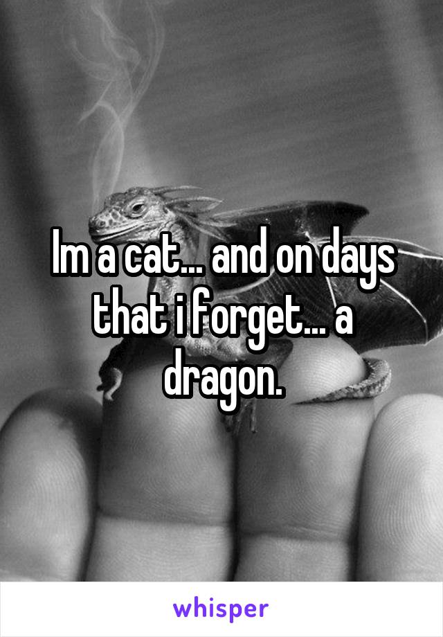 Im a cat... and on days that i forget... a dragon.