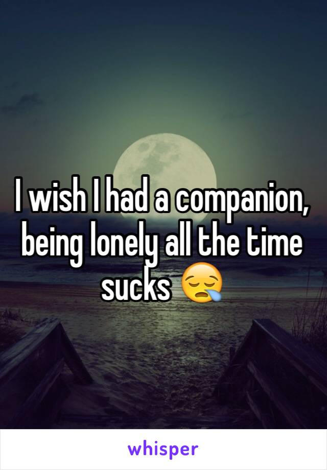 I wish I had a companion, being lonely all the time sucks 😪