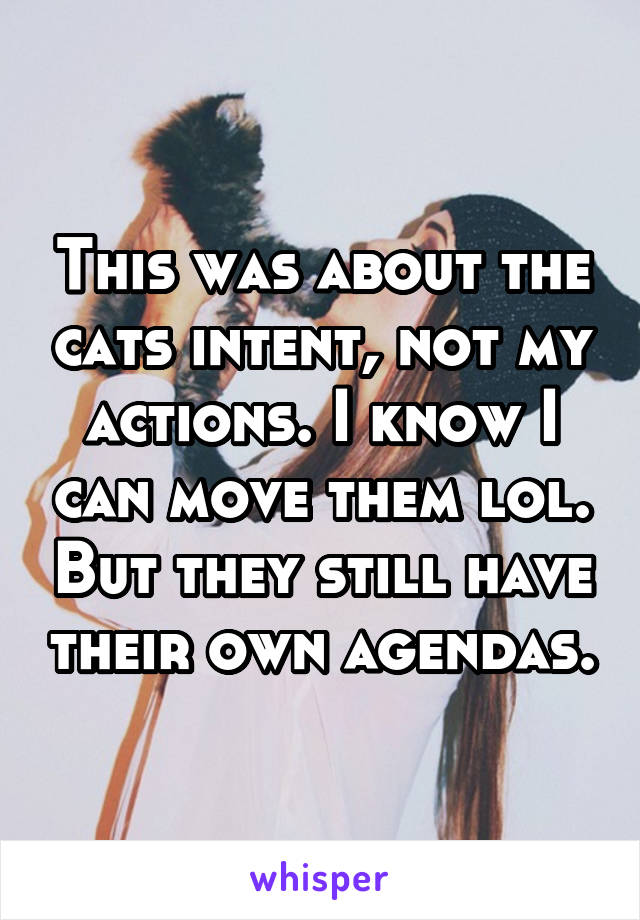 This was about the cats intent, not my actions. I know I can move them lol. But they still have their own agendas.