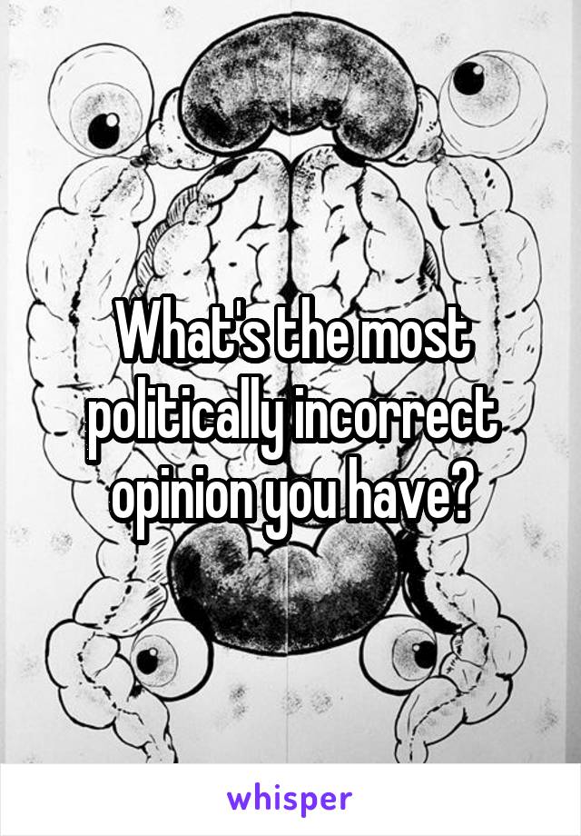 What's the most politically incorrect opinion you have?