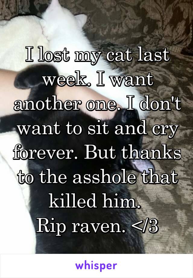 I lost my cat last week. I want another one. I don't want to sit and cry forever. But thanks to the asshole that killed him. 
Rip raven. </3