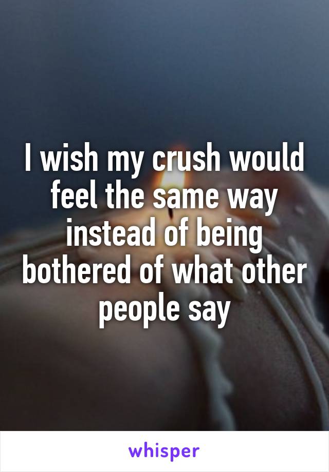 I wish my crush would feel the same way instead of being bothered of what other people say