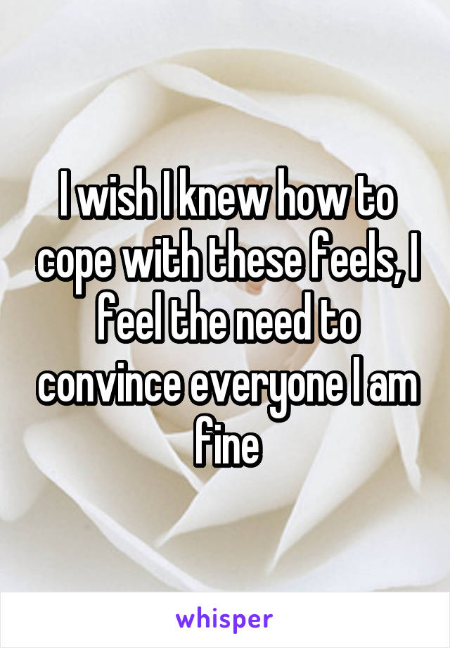 I wish I knew how to cope with these feels, I feel the need to convince everyone I am fine