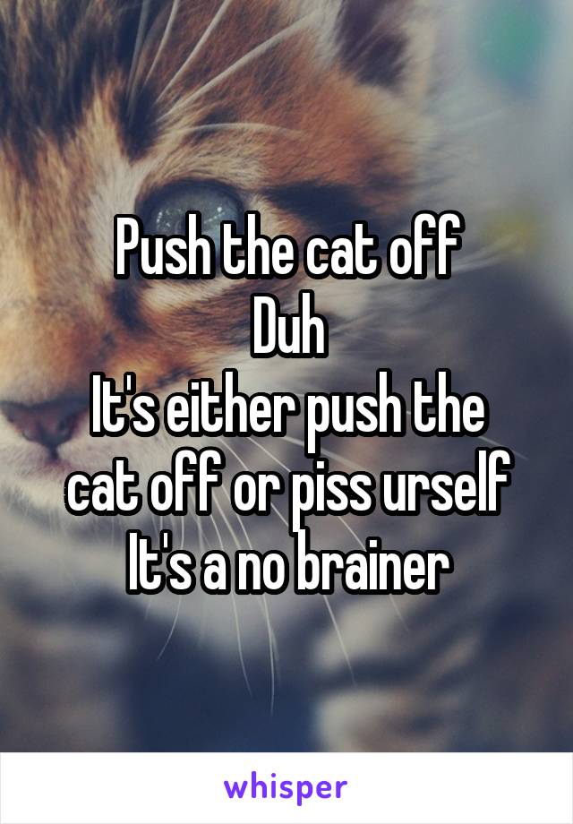 Push the cat off
Duh
It's either push the cat off or piss urself
It's a no brainer