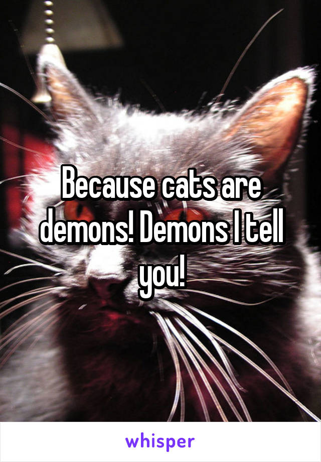 Because cats are demons! Demons I tell you!