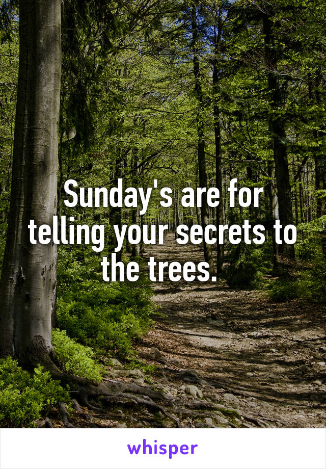 Sunday's are for telling your secrets to the trees. 