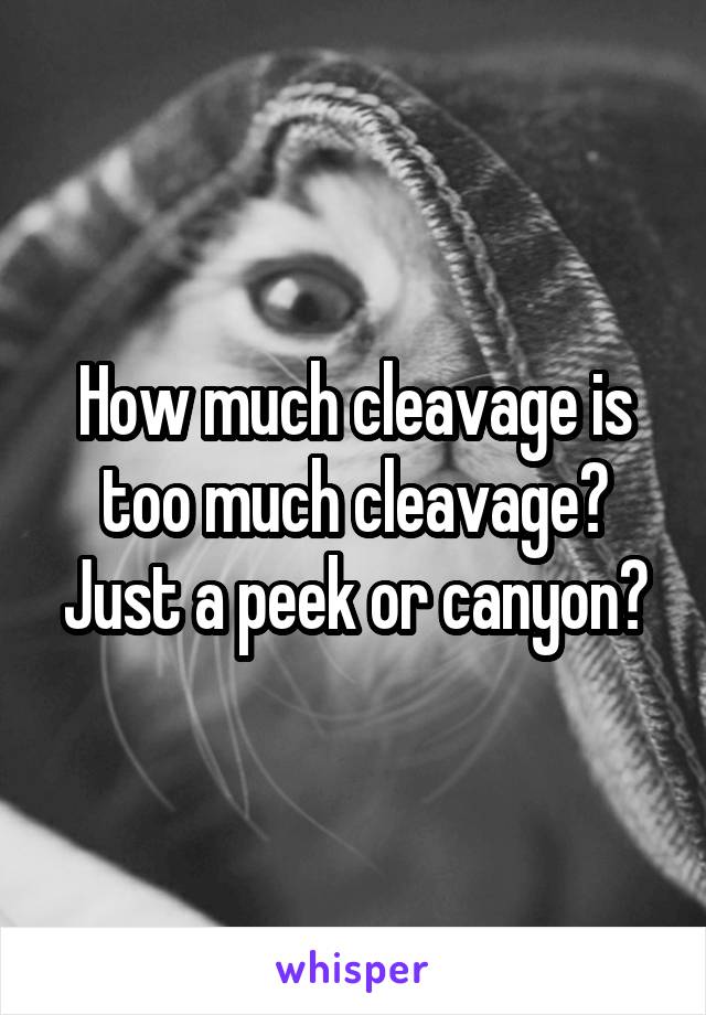 How much cleavage is too much cleavage?
Just a peek or canyon?