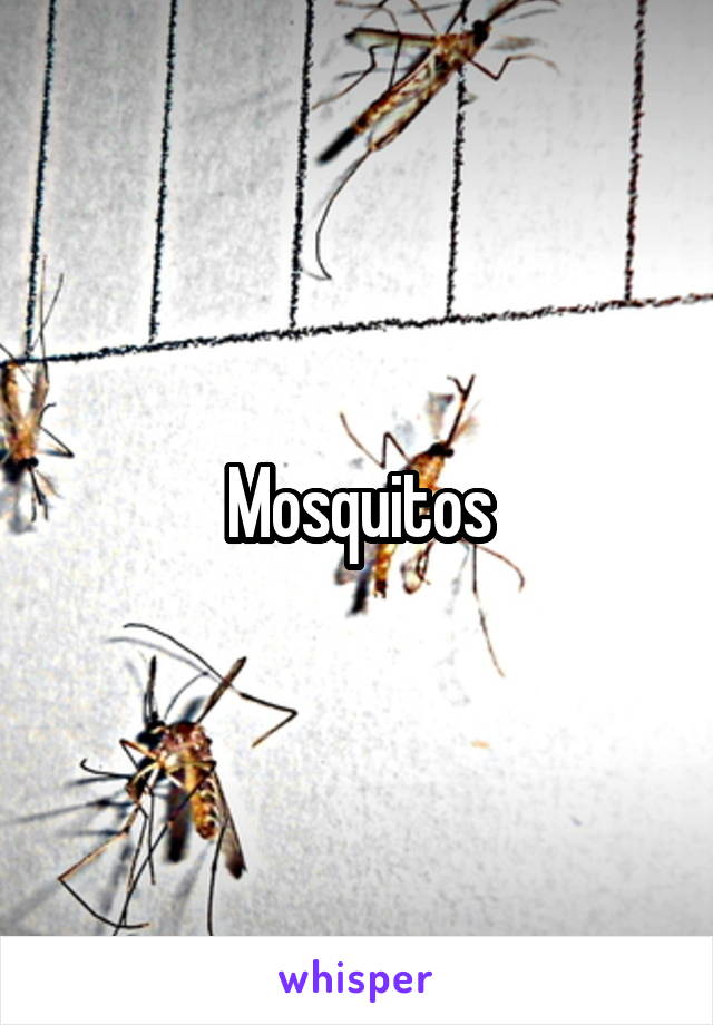 Mosquitos