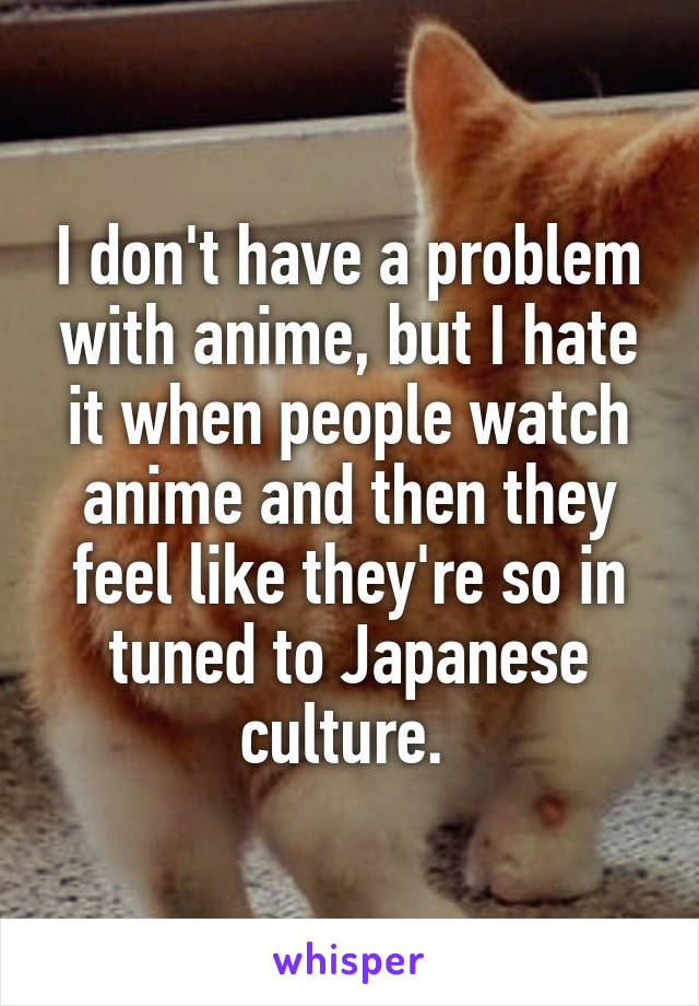 I don't have a problem with anime, but I hate it when people watch anime and then they feel like they're so in tuned to Japanese culture. 