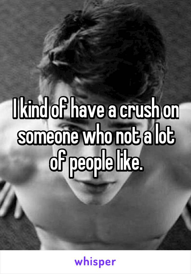 I kind of have a crush on someone who not a lot of people like.