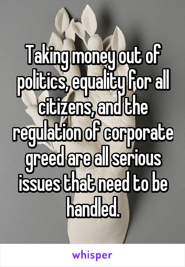 Taking money out of politics, equality for all citizens, and the regulation of corporate greed are all serious issues that need to be handled.