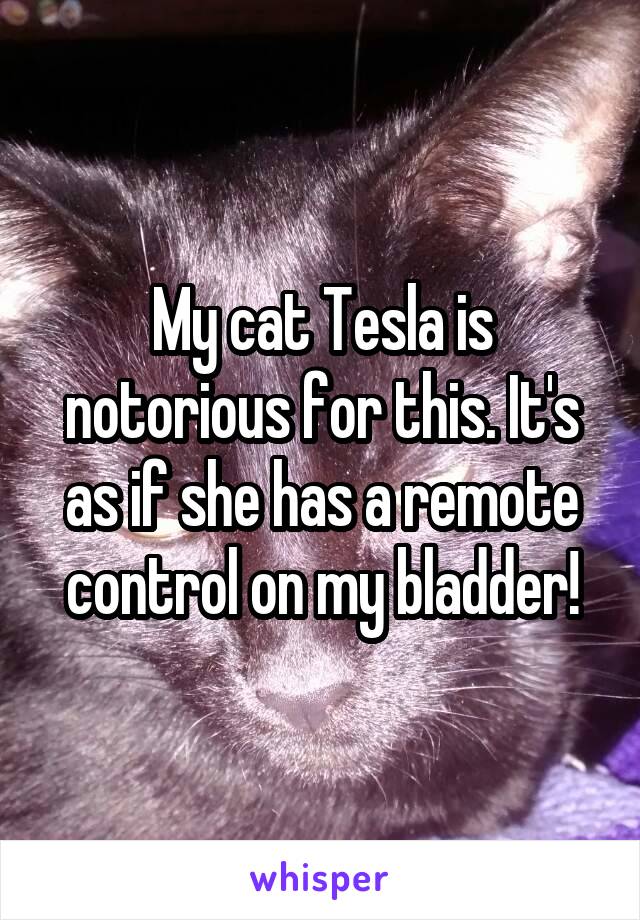 My cat Tesla is notorious for this. It's as if she has a remote control on my bladder!