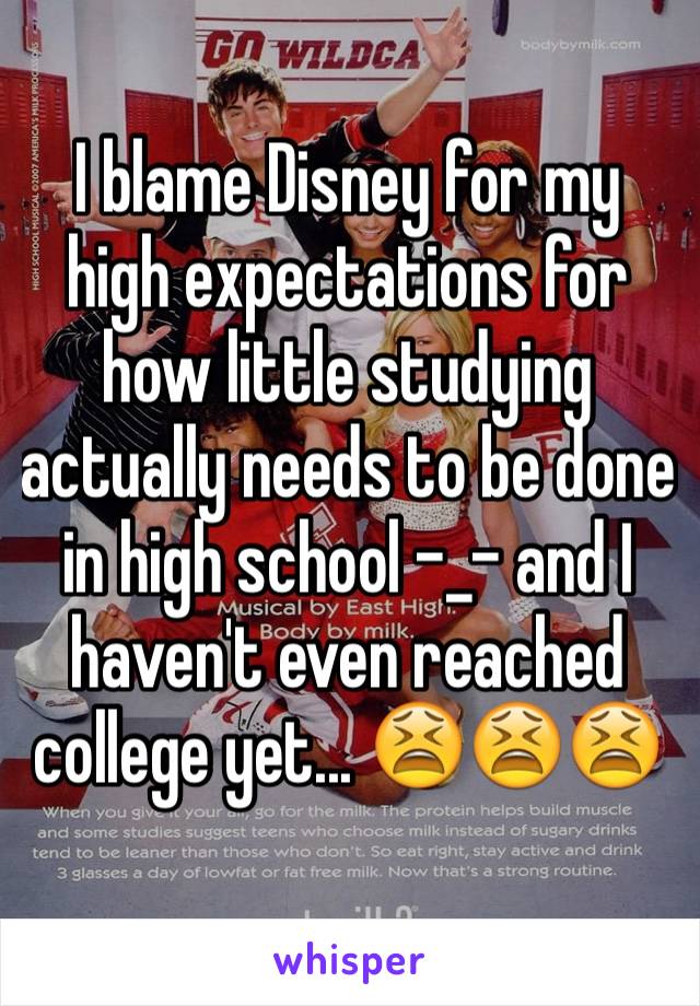 I blame Disney for my high expectations for how little studying actually needs to be done in high school -_- and I haven't even reached college yet... 😫😫😫