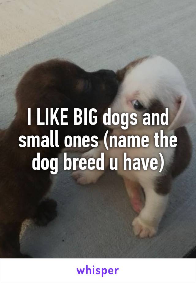 I LIKE BIG dogs and small ones (name the dog breed u have)