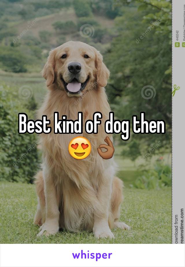 Best kind of dog then 😍👌🏾